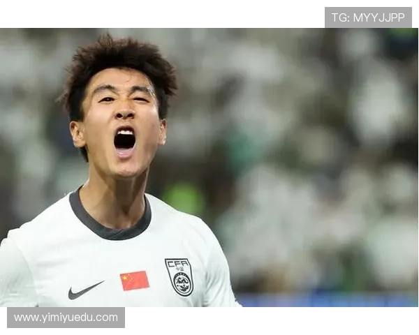 韦世豪进球数据