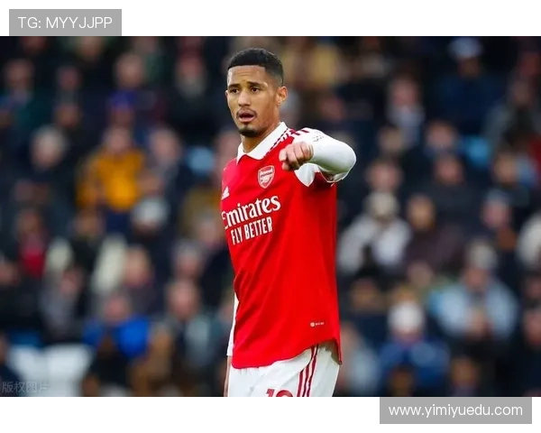 威廉·萨利巴：法国国家队轮换体系中的角色分析